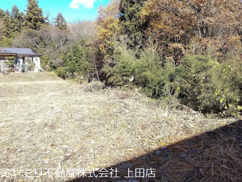上田市八木沢　土地 その他