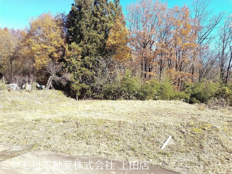 上田市八木沢　土地 その他