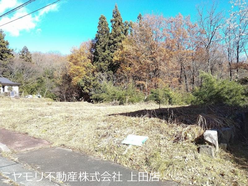 上田市八木沢　土地 その他