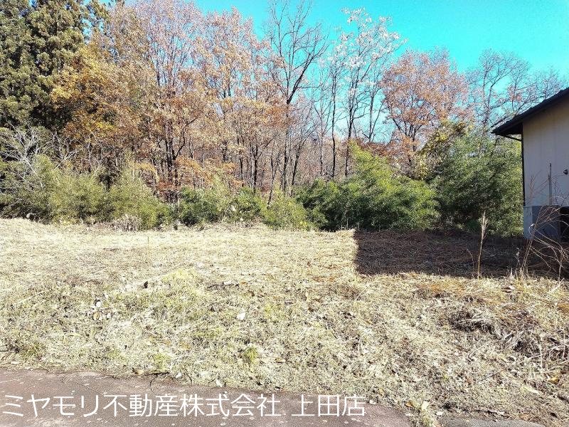 上田市八木沢　土地 その他
