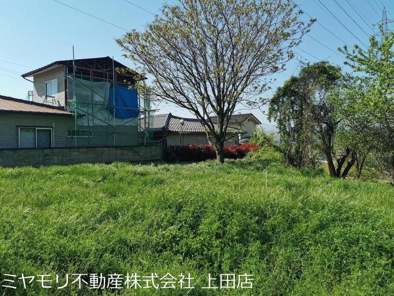 東御市鞍掛　土地 その他