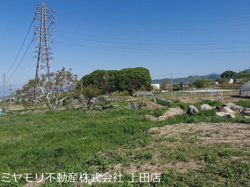 東御市鞍掛　土地 その他