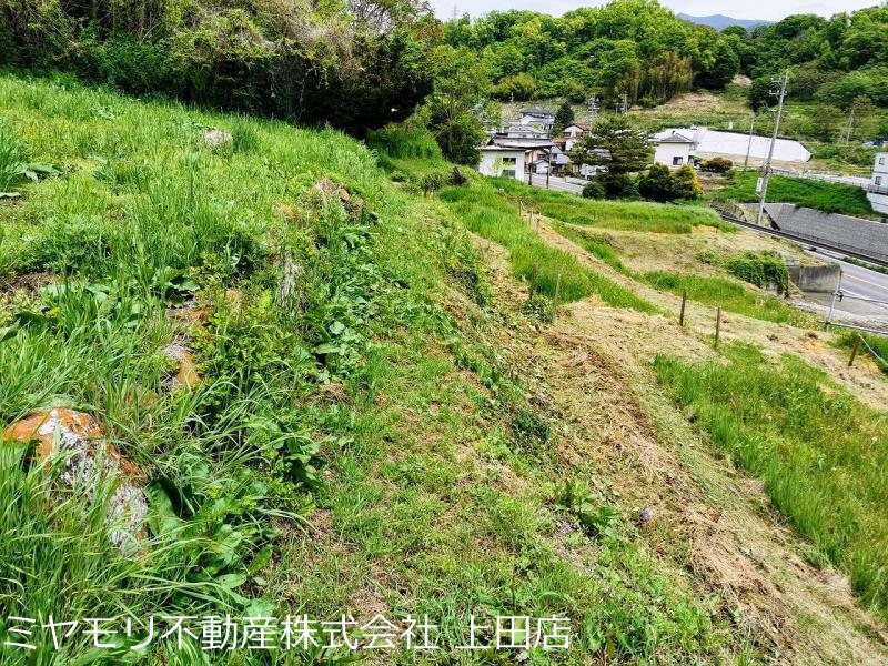 上田市上野　土地 その他