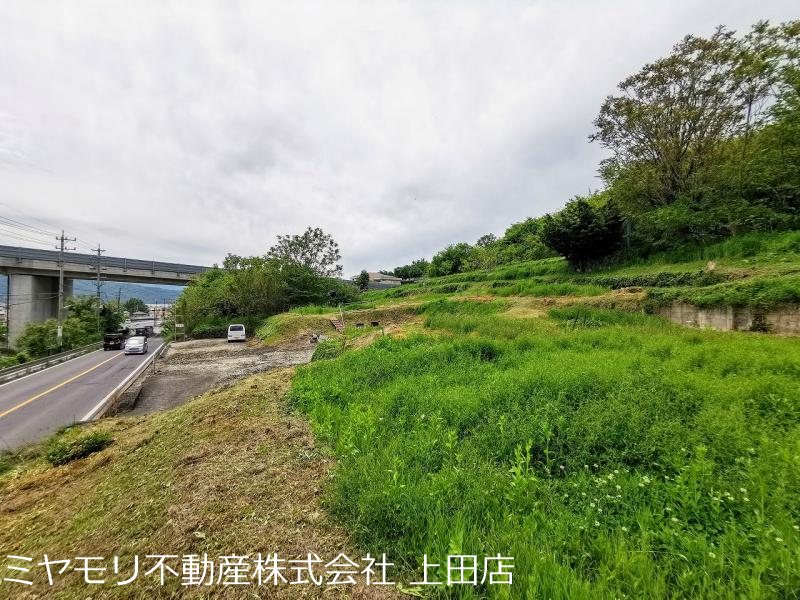 上田市上野　土地 その他