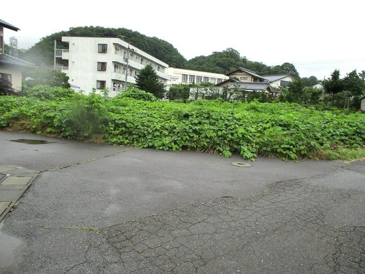 小諸市甲　土地 現地写真（前面道路含む現地写真）