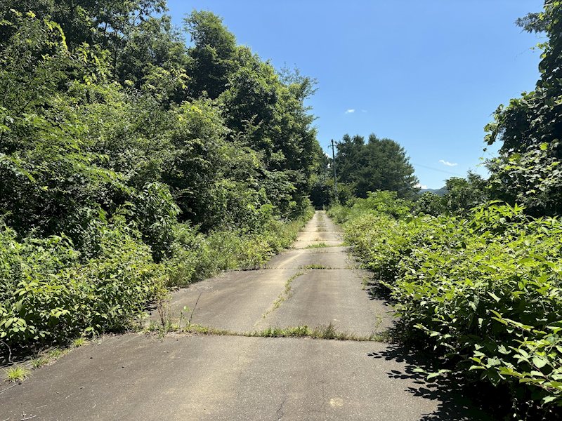佐久市内山　土地 現地写真（前面道路含む現地写真）