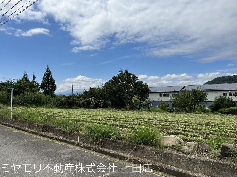 上田市真田町本原　土地 現地写真
