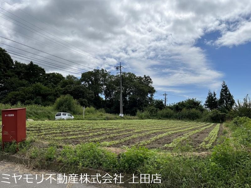 上田市真田町本原　土地 現地写真
