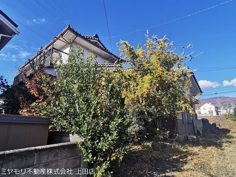 東御市加沢　戸建 現地写真（庭）