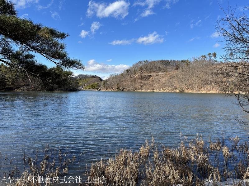 上田市生田　土地 その他