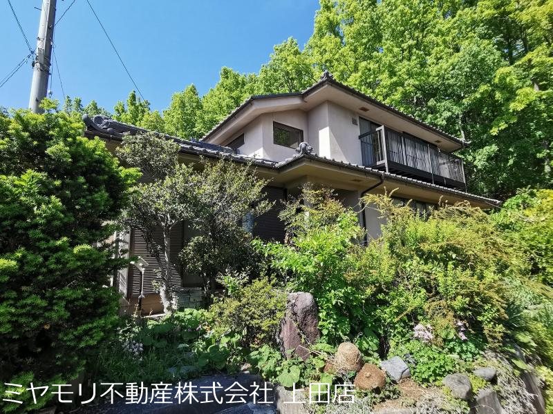 上田市神畑乙　戸建 その他