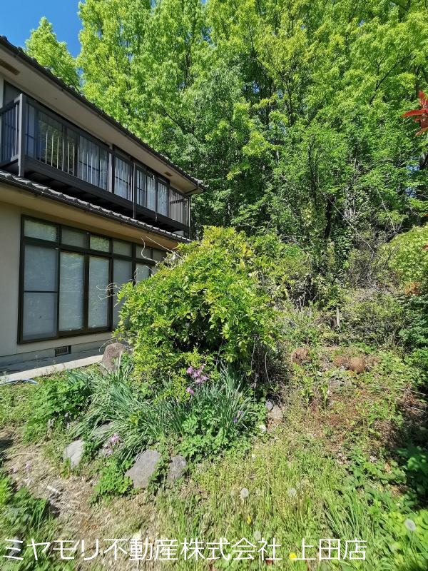 上田市神畑乙　戸建 その他