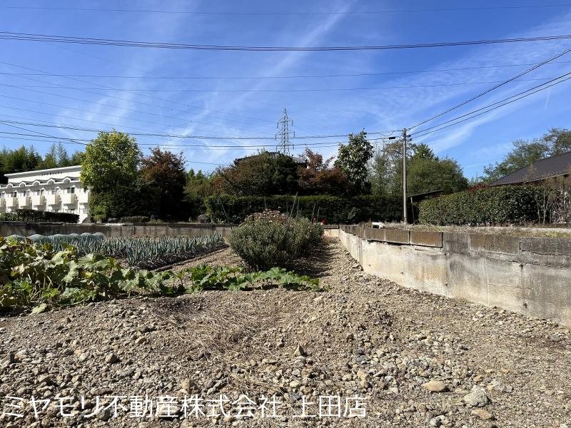 上田市五加　土地 その他
