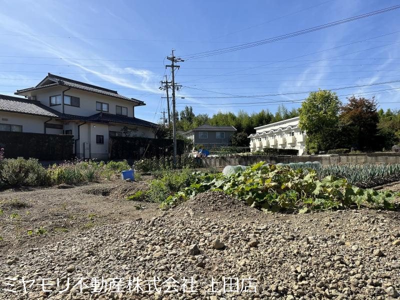 上田市五加　土地 その他