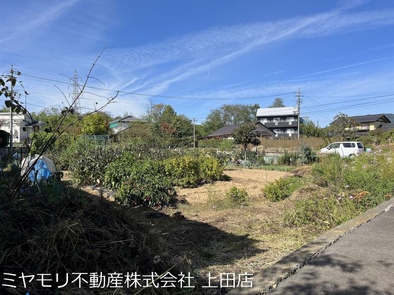 上田市五加　土地 その他