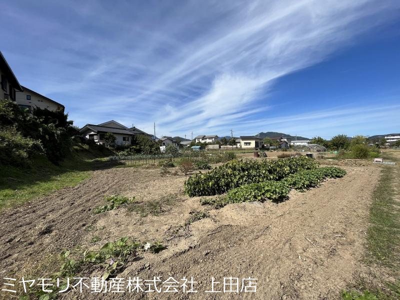 上田市五加 土地 現地写真