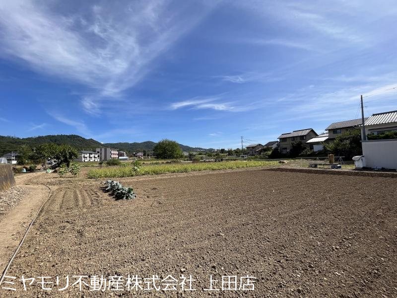 上田市五加　土地 その他