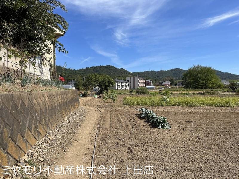 上田市五加　土地 その他