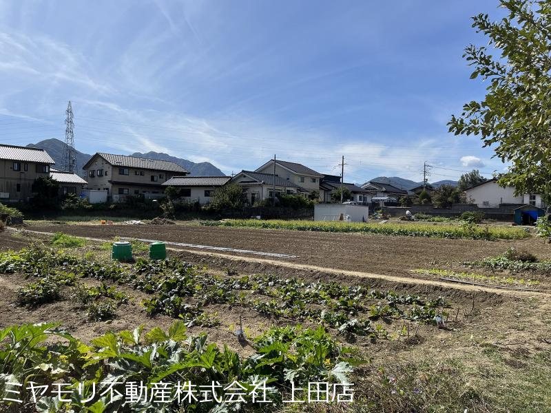 上田市五加　土地 その他