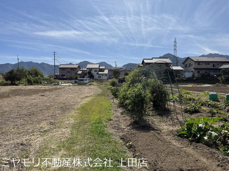 上田市五加　土地 その他