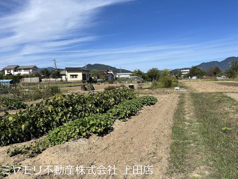 上田市五加　土地 その他