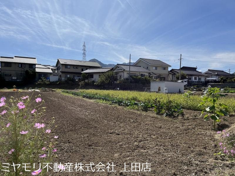 上田市五加　土地 その他