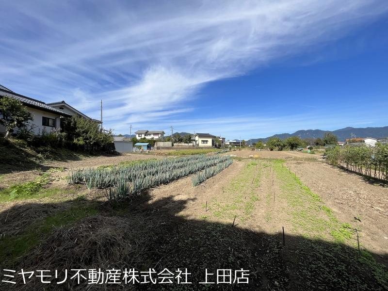 上田市五加　土地 その他
