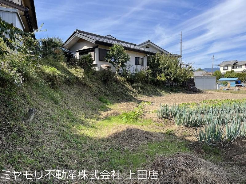 上田市五加　土地 その他