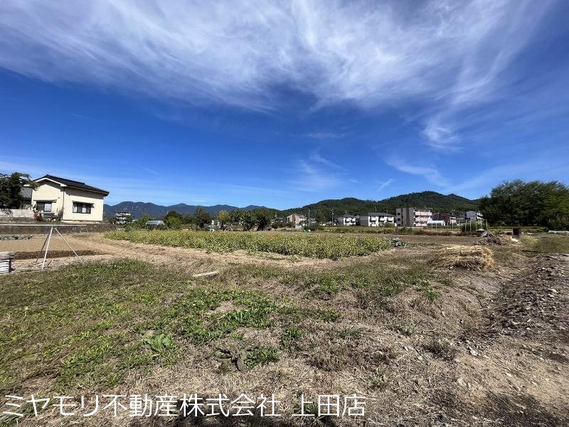 上田市五加　土地 その他
