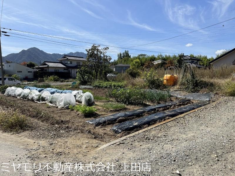上田市五加　土地 その他