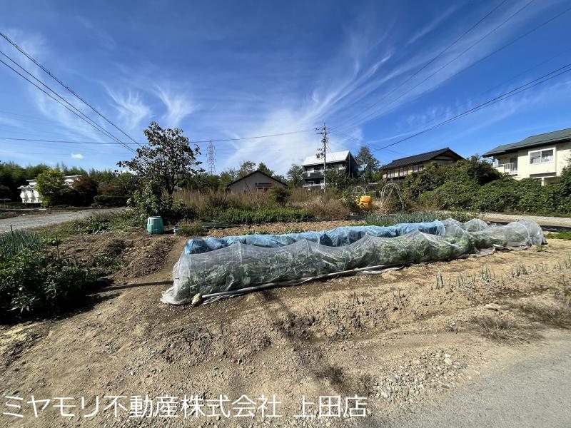 上田市五加　土地 その他