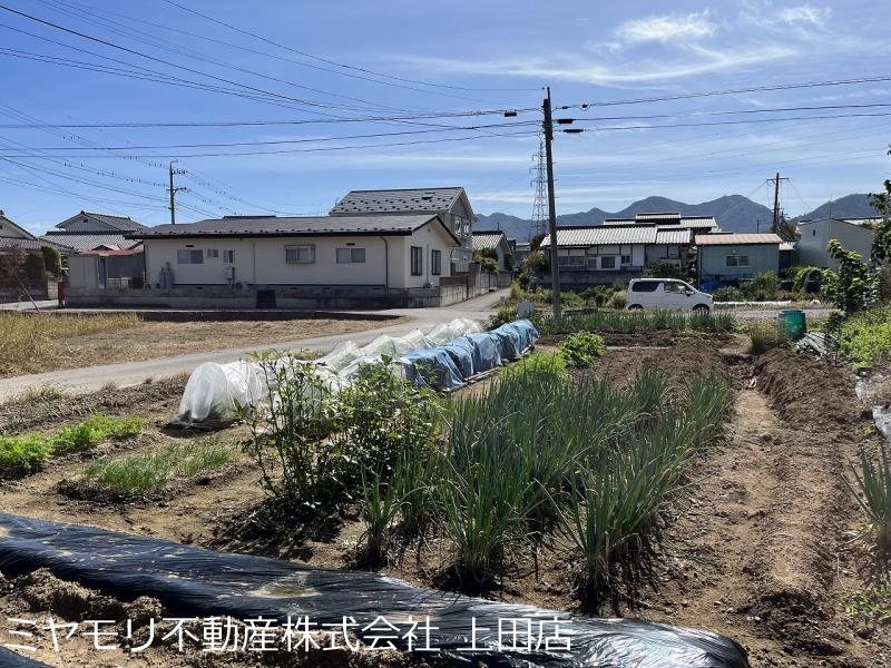 上田市五加　土地 その他