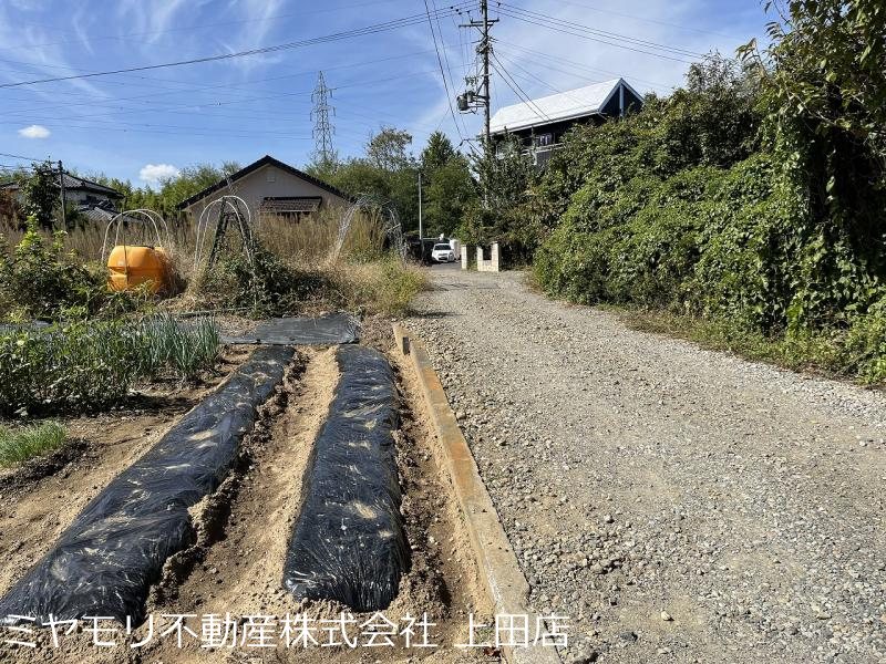 上田市五加　土地 その他