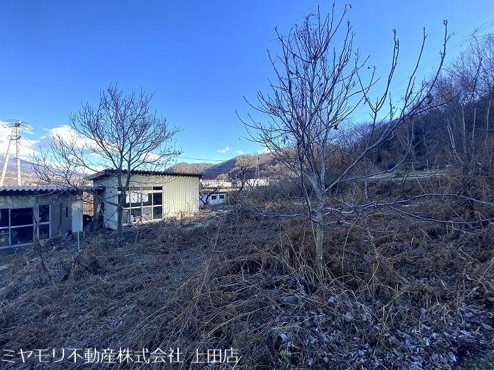 東御市島川原　土地 その他