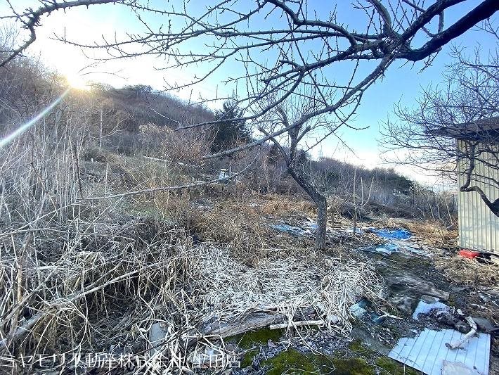 東御市島川原　土地 その他