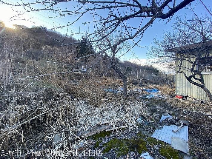 東御市島川原　土地 その他