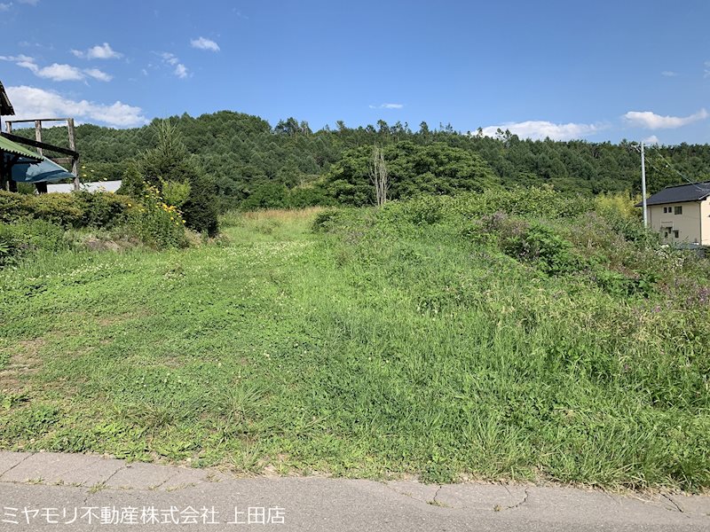 東御市新張　土地 現地写真