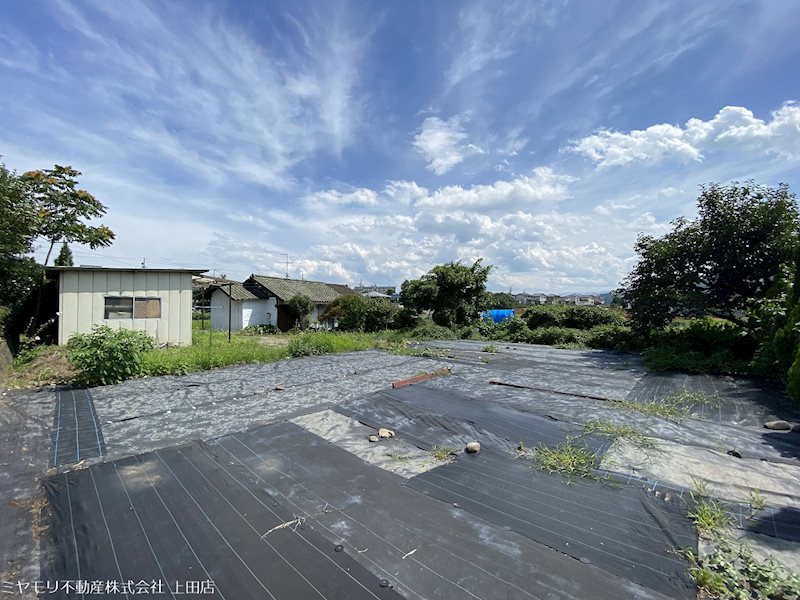 上田市蒼久保 土地 現地写真