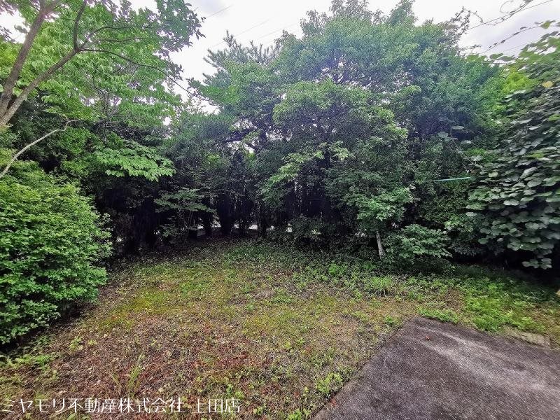 上田市上野　中古戸建 現地写真（庭）