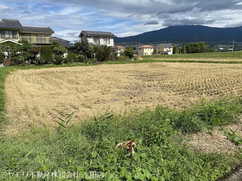 上田市塩川　土地 現地写真