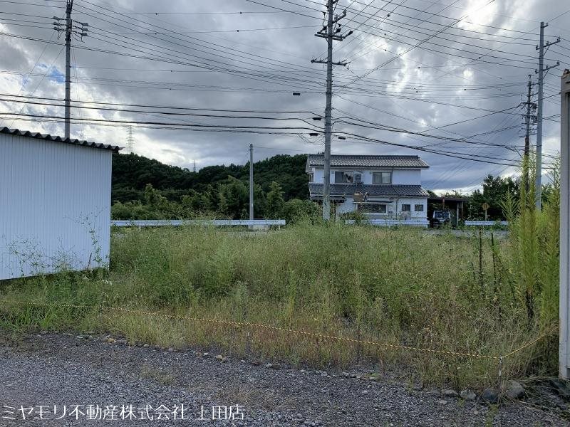 上田市真田町本原　土地 現地写真