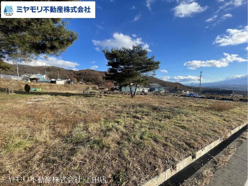 東御市新張　土地 現地写真