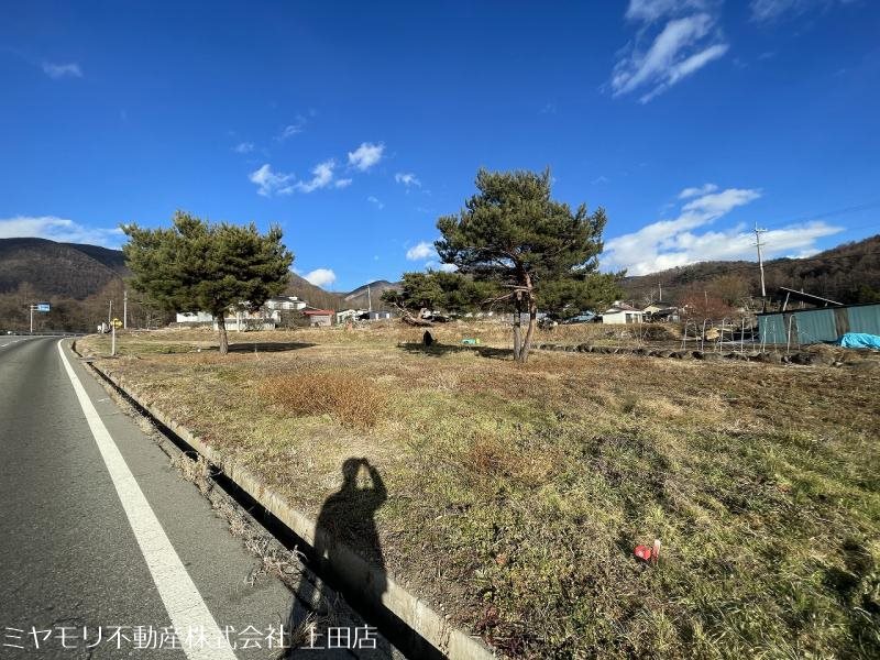 東御市新張　土地 現地写真