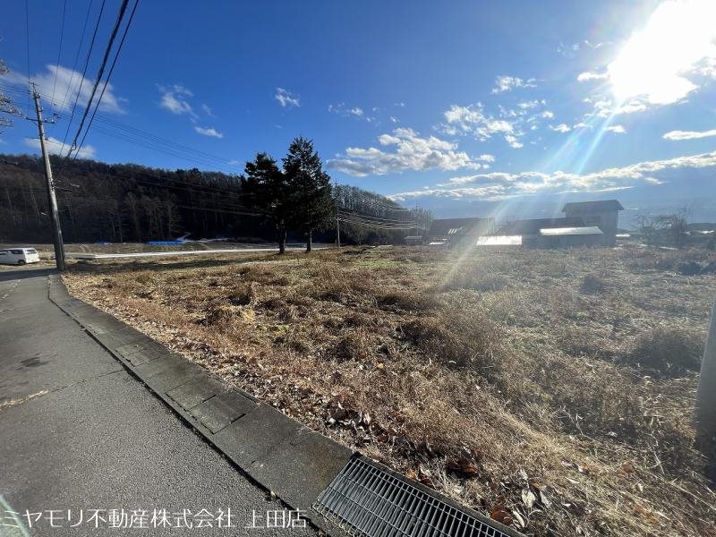 東御市新張　土地 その他