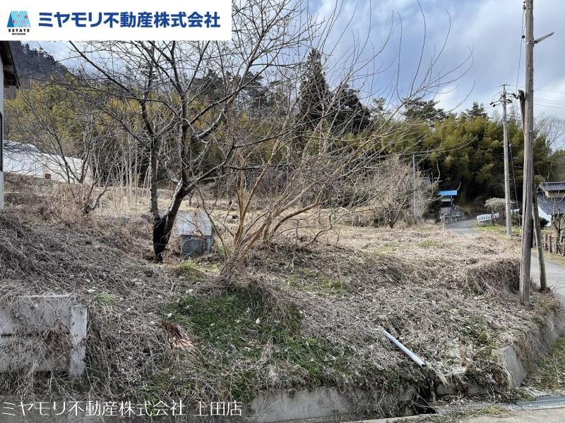 上田市小泉 土地 現地写真