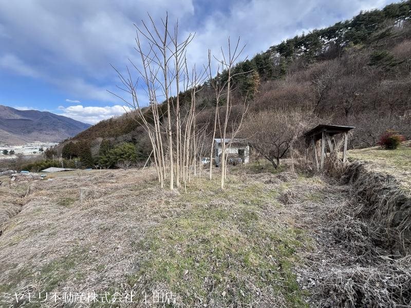上田市小泉　土地 その他