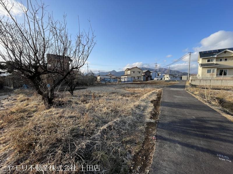 上田市林之郷　土地 その他