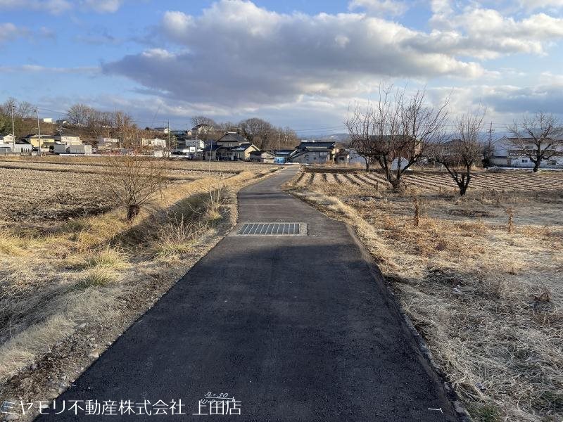 上田市林之郷　土地 その他