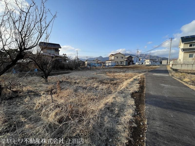 上田市林之郷　土地 その他