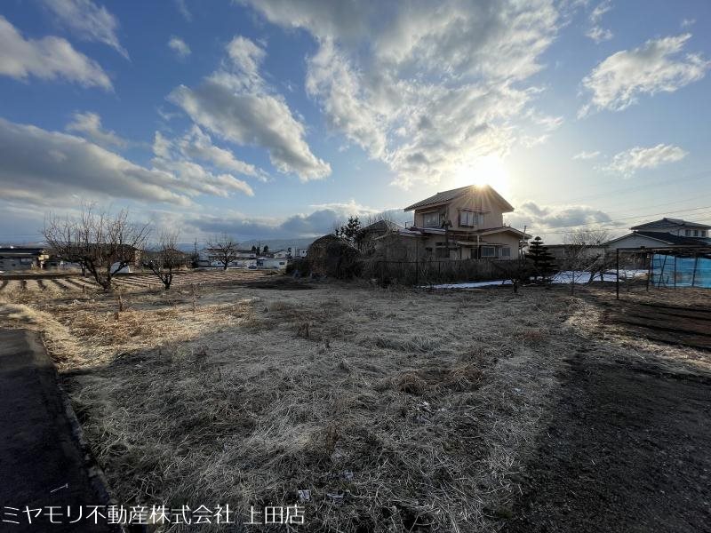 上田市林之郷　土地 その他